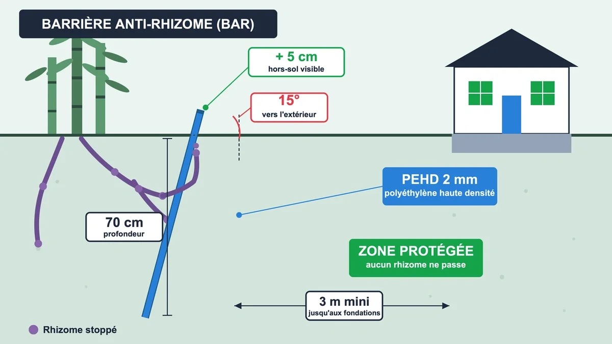 Barrière anti-rhizome installée pour empêcher la propagation des bambous dans le jardin