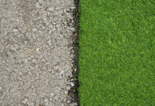 Gazon naturel en rouleau : le vrai prix et les pièges qu’aucune notice ne mentionne gazon rouleau