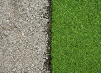 Gazon naturel en rouleau : le vrai prix et les pièges qu’aucune notice ne mentionne gazon rouleau