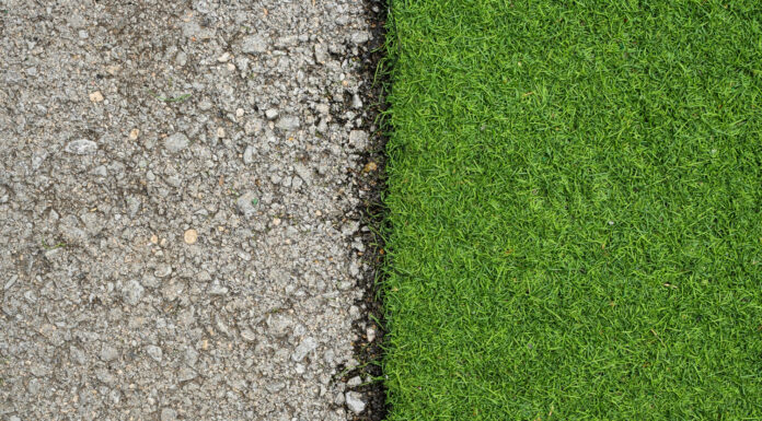 Gazon naturel en rouleau : le vrai prix et les pièges qu’aucune notice ne mentionne gazon rouleau