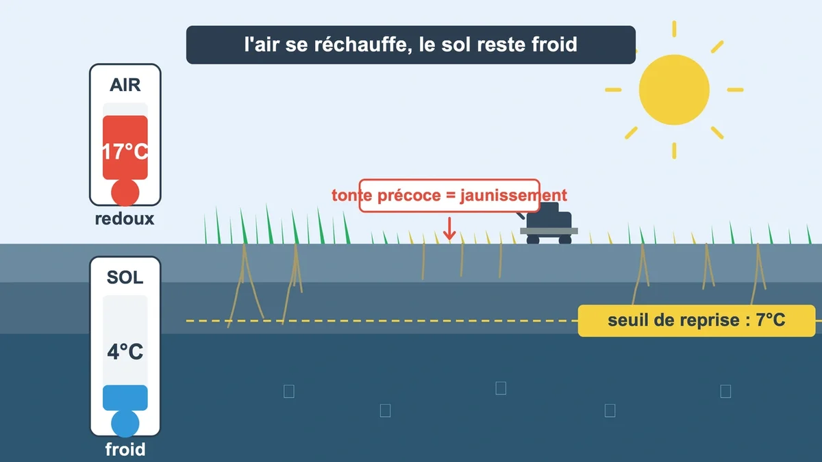 Comparaison visuelle des températures entre l'air et le sol en hiver doux, avec herbe fraîchement tondue